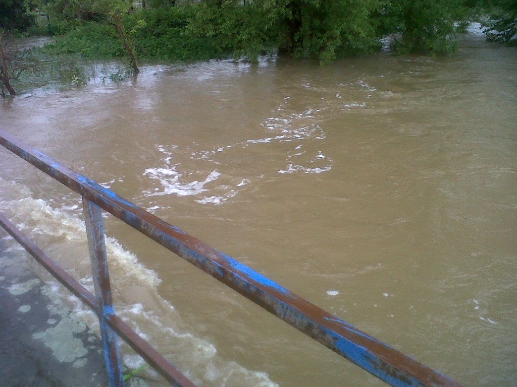 img00302-20130603-1047
