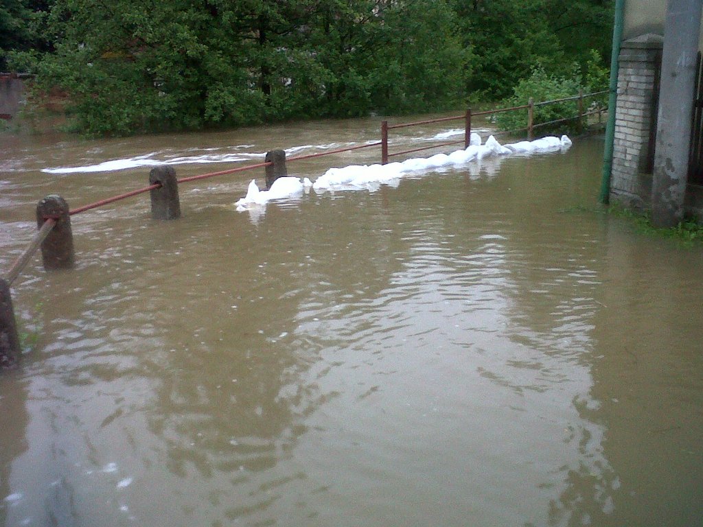 img00281-20130602-1940