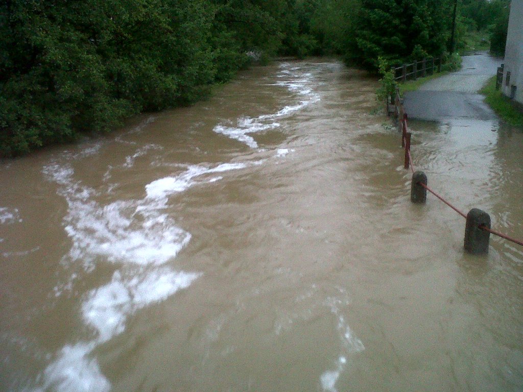 img00287-20130602-2041