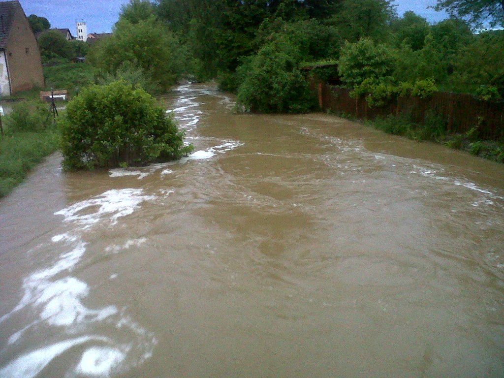 img00288-20130602-2041