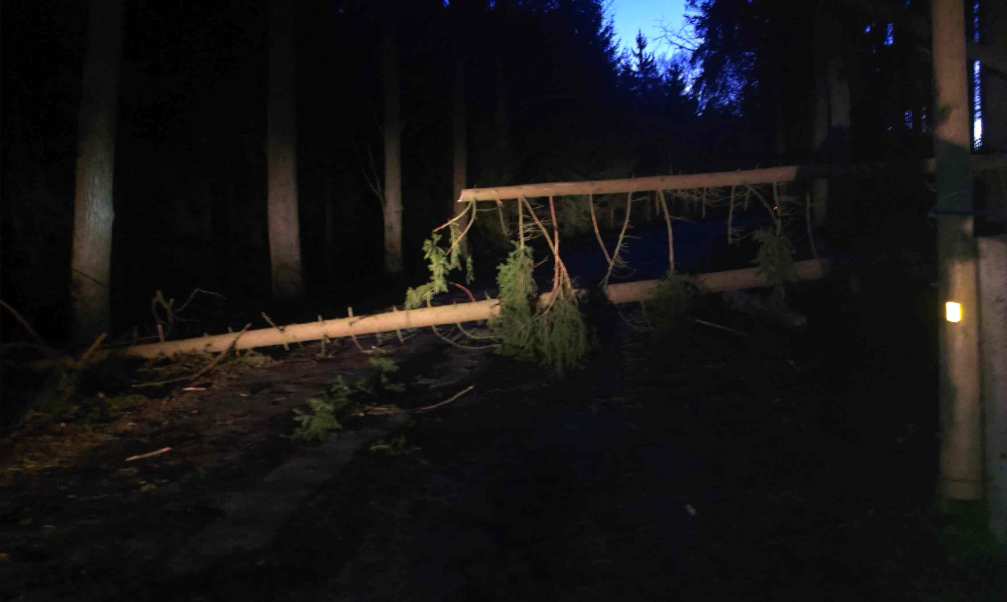 IMAG0142_1
